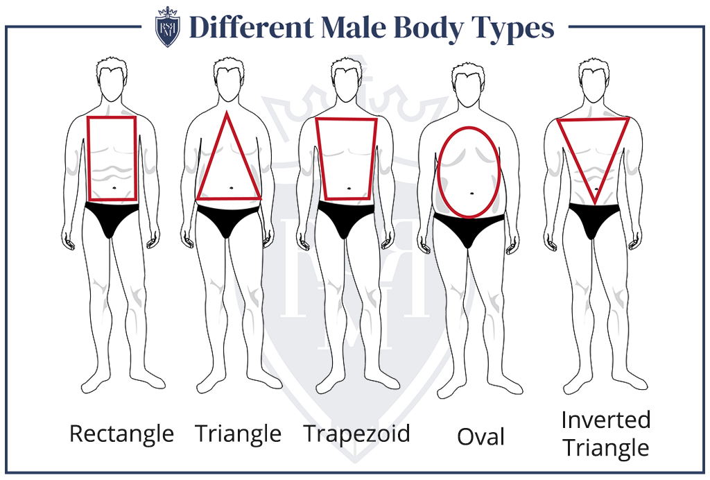 不同的男性体型