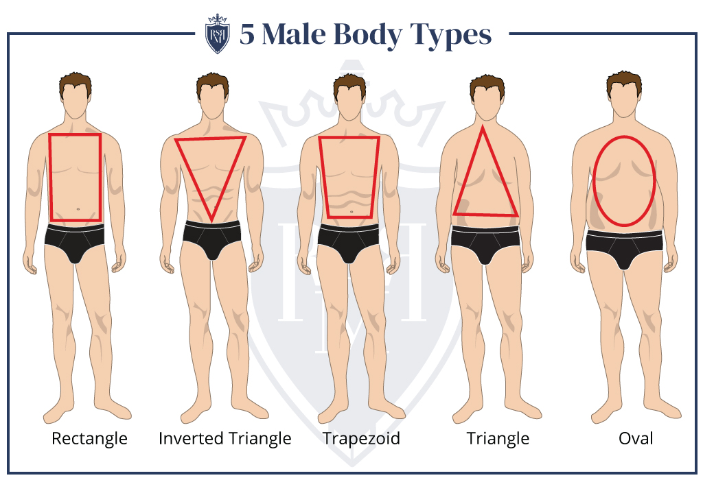 信息图男性体型