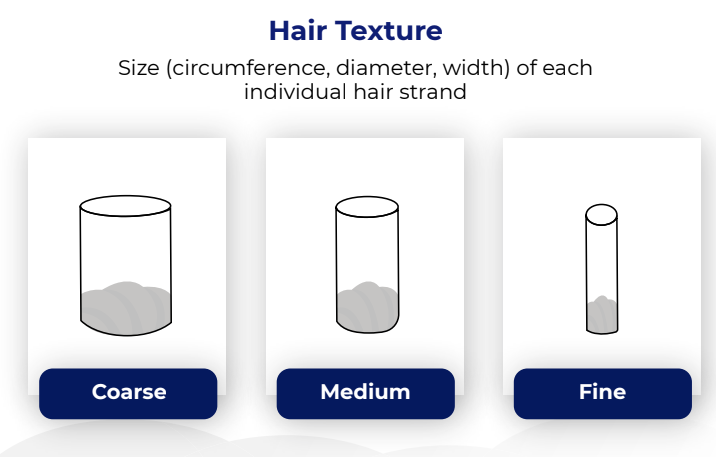 发质类型